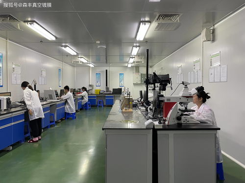 森丰PVD间电方式 软件研发与销售的战略布局