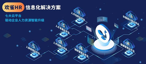 欢雀科技通过CMMI3认证，软件研发能力获国际权威机构认可